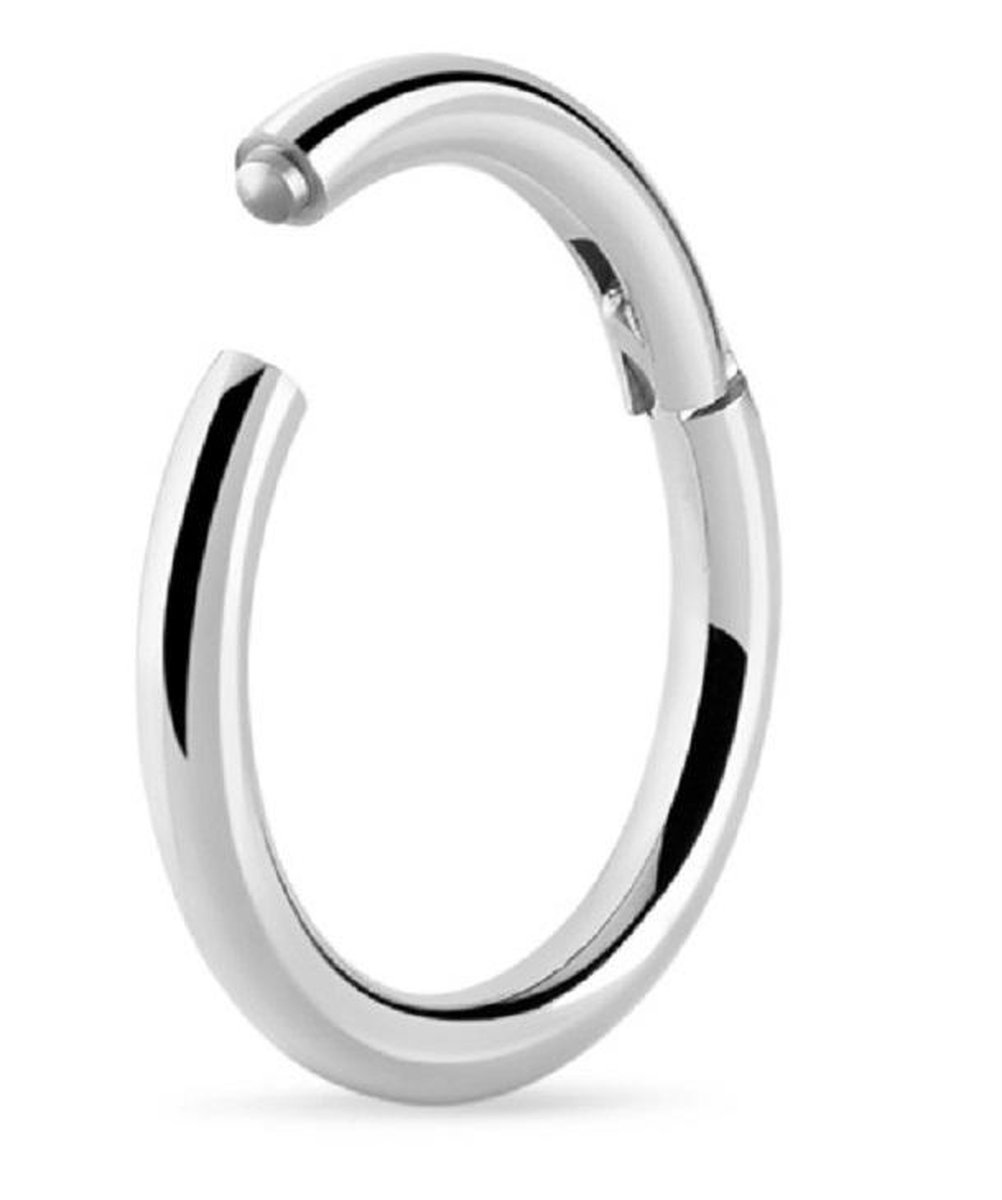 Titanium 6 mm Segment ring 1,2 met scharnier. RH-Jewelry