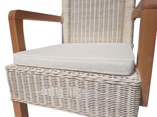 vidaXL Poly Rattan Tuinstoelen - 52 x 56 x 88 cm - Zwart - Crèmewit