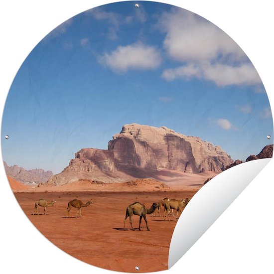 Tuincirkel Wadi Rum - Kameel - Woestijn - 90x90 cm - Ronde Tuinposter - Buiten