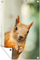 Muurdecoratie Rode eekhoorn - Noot - Boom - 120x180 cm - Tuinposter - Tuindoek - Buitenposter