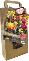 Plantenwinkel Giftbox Urban Flower Lovers Perfect Match bloembollen per 50 stuks