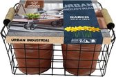 Plantenwinkel Giftbox Urban Industrial Basket Flower Bulbs bloembollen per 4 stuks