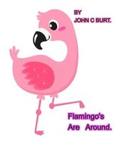 Flamingo's Are Around.