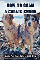 How To Calm A Collie Chaos: Calming Your Chaotic Collie In Simple Steps