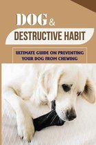 Dog & Destructive Habit: Ultimate Guide On Preventing Your Dog From Chewing