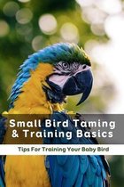 Small Bird Taming & Training Basics: Tips For Training Your Baby Bird