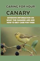 Caring For Your Canary: Extensive Information On What The Canaries Are And How To Best Care For Them