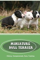 Miniature Bull Terrier: History, Temperament, Care, Training