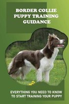 Border Collie Puppy Training Guidance: Everything You Need To Know To Start Training Your Puppy