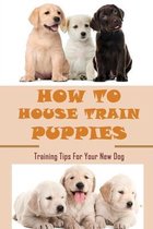 How To House Train Puppies: Training Tips For Your New Dog