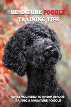 Miniature Poodle Training Tips: What You Need To Know Before Raising A Miniature Poodle