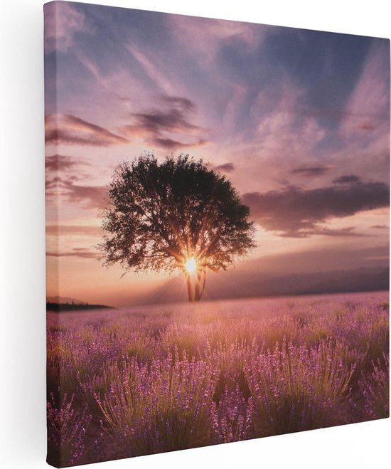 Artaza Canvas Schilderij Bloemenveld Met Lavendel Bij Zonsondergang - 80x80 - Groot - Foto Op Canvas - Canvas Print