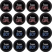 Sluitsticker – Sluitzegel Team Boy - Team Girl| Blauw / Rose | Geboorte kaart - Envelop | 2 x 12 stuks | Envelop sticker | Cadeau - Gift - Cadeauzakje - Traktatie - Bedankt | Chiqu