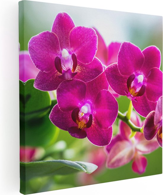 Artaza Canvas Schilderij Roze Orchidee Bloemen - 60x60 - Foto Op Canvas - Canvas Print