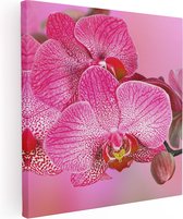 Artaza Canvas Schilderij Roze Orchidee Bloemen - 60x60 - Foto Op Canvas - Canvas Print