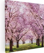 Artaza Canvas Schilderij Roze Bloesembomen Park - Bloemen - 60x60 - Foto Op Canvas - Canvas Print