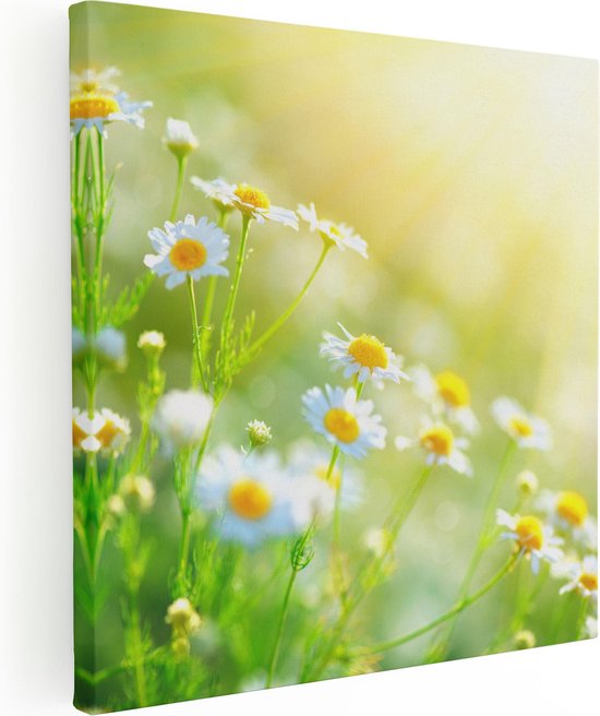 Artaza Canvas Schilderij Witte Kamille Bloemen Met Zonneschijn - 90x90 - Groot - Foto Op Canvas - Canvas Print