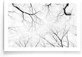 Walljar - Kersenbloesem Bomen - Zwart wit poster