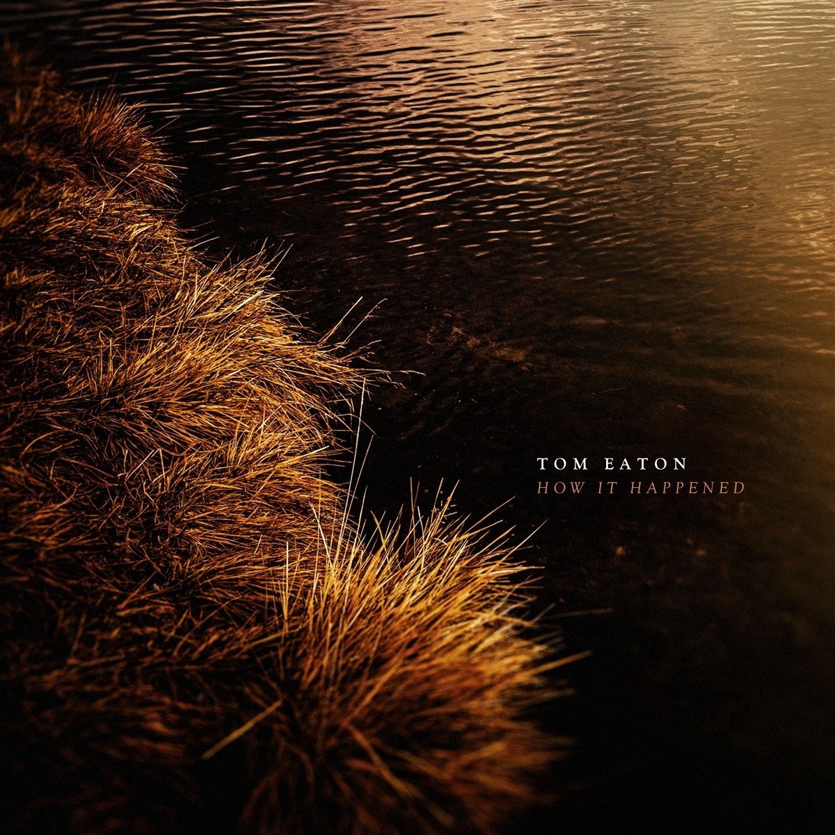 Tom Eaton How It Happened (CD), Tom Eaton CD (album) Muziek bol