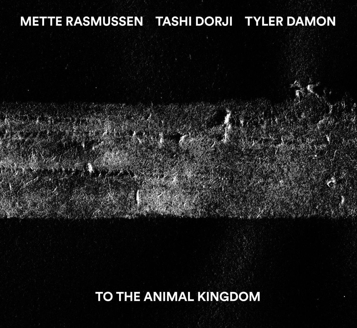 Tashi Dorji, Mette Rasmussen & Tyler Damon - To The Animal Kingdom (CD)