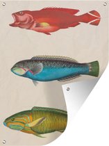 Décoration murale extérieure Poisson - Vintage - Dessin - 120x160 cm