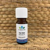 Tea Tree | Etherische olie | De groene linde | 10ml etherische olie