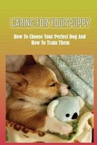 Caring For Your Puppy: How To Choose Your Perfect Dog And How To Train Them