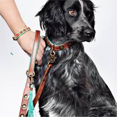 DWAM Dog with a Mission Hondenriem – Riem voor honden – Bruin – Leer – S – 135 x 1,6 cm – Joe