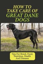 How To Take Care Of Great Dane Dogs: Tips For Breed, Food, Nutrition, Health And Diseases