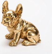 Beeld Bulldog goud - 25 cm