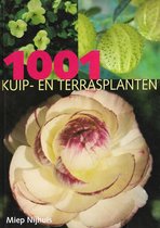 1001 Kuip- En Terrasplanten