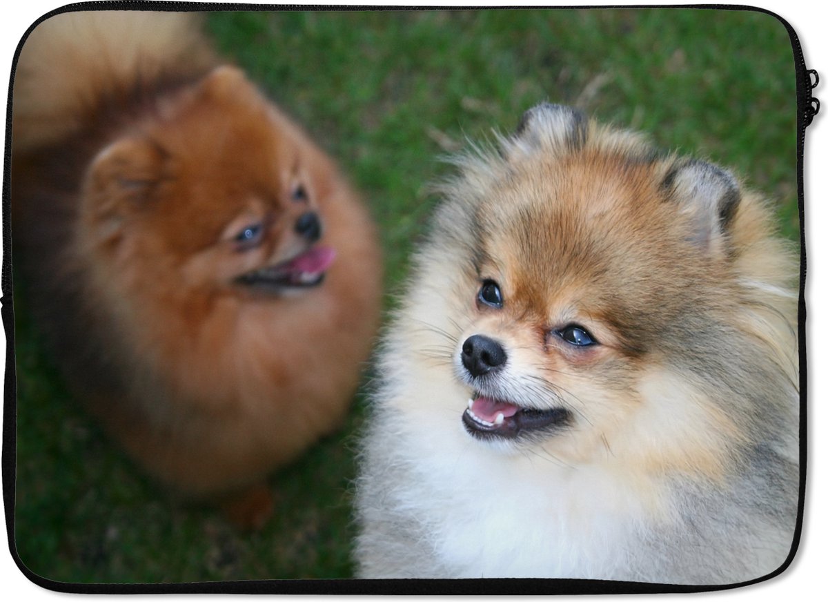 Laptophoes 14 inch 36x26 cm - Pomeranian - Macbook & Laptop sleeve Twee pomeriaanse honden - Laptop hoes met foto
