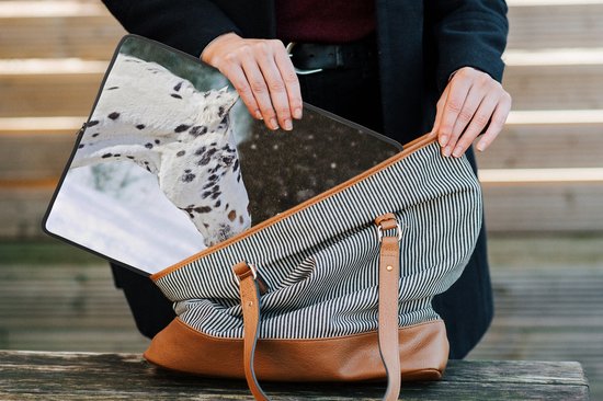 Housse ordinateur 13 pouces 34x24 cm - Appaloosa - Housse Macbook & Laptop cheval Appaloosa cheval avec bonhomme de neige - Housse ordinateur portable avec photo