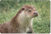 Muismat Otter - Otter in het gras muismat rubber - 27x18 cm - Muismat met foto
