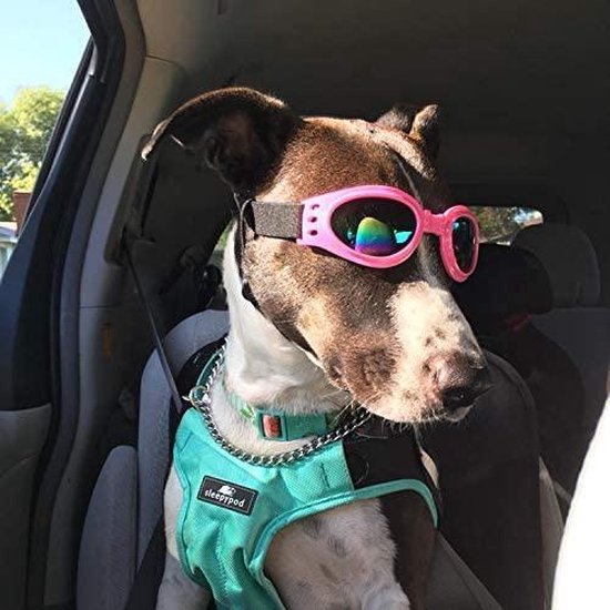Hondenbril - Zonnebril hond - Honden zonnebril - Roze - UV werend | bol.com