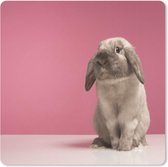 Muismat Konijnen - Konijnen voor roze muur muismat rubber - 40x30 cm - Muismat met foto