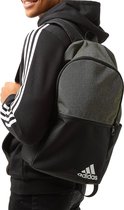 Adidas Daily Ii Rugzak Groen - Back To School