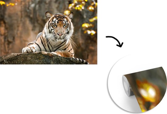 Papier Peint - Papiers Papier peint photo Tigre - Rochers - Feuilles - Largeur 420 cm x Hauteur 280 cm