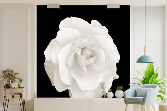 Papier peint - Papier peint photo peint Rose - Zwart - Wit - Largeur 280 cm x hauteur 280 cm