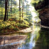Quiet Forest -  Puzzel 1000 Stukjes Sunsout