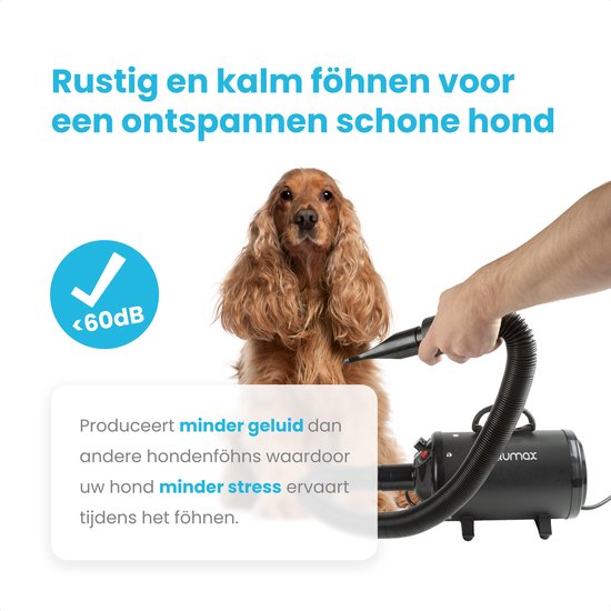 Qumax Professionele Hondenföhn met 4 Opzetstukken – Waterblazer voor Honden – Stil Design – Compact en Modern - Zwart - Qumax