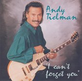 ANDY TIELMAN - I can't forget you
