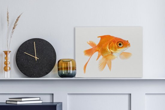 Poisson rouge sur toile fond blanc 2cm 40x30 cm - petit - Tirage photo sur toile (Décoration murale salon / chambre)