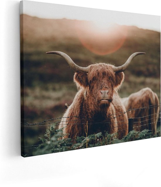 Artaza - Peinture sur toile - Vache Highlander écossaise au soleil - 50x40 - Photo sur toile - Impression sur toile