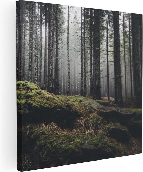 Artaza Toile Peinture Forêt Avec Mousse Sur Rochers - 80x80 - Groot - Photo Sur Toile - Impression Sur Toile