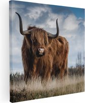 Artaza Canvas Schilderij Schotse Hooglander Koe - Kleur - 80x80 - Groot - Foto Op Canvas - Canvas Print
