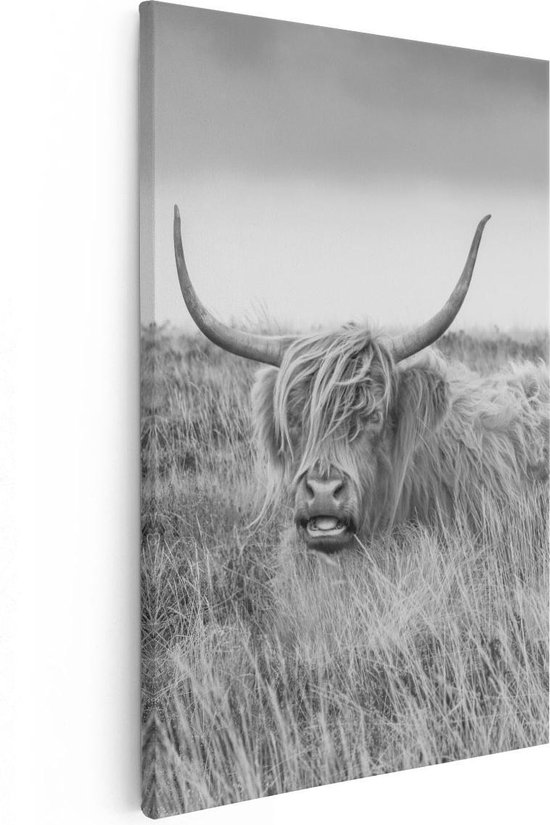 Artaza - Peinture sur toile - Vache écossaise Highlander - Zwart Wit - 20 x 30 - Klein - Photo sur toile - Impression sur toile