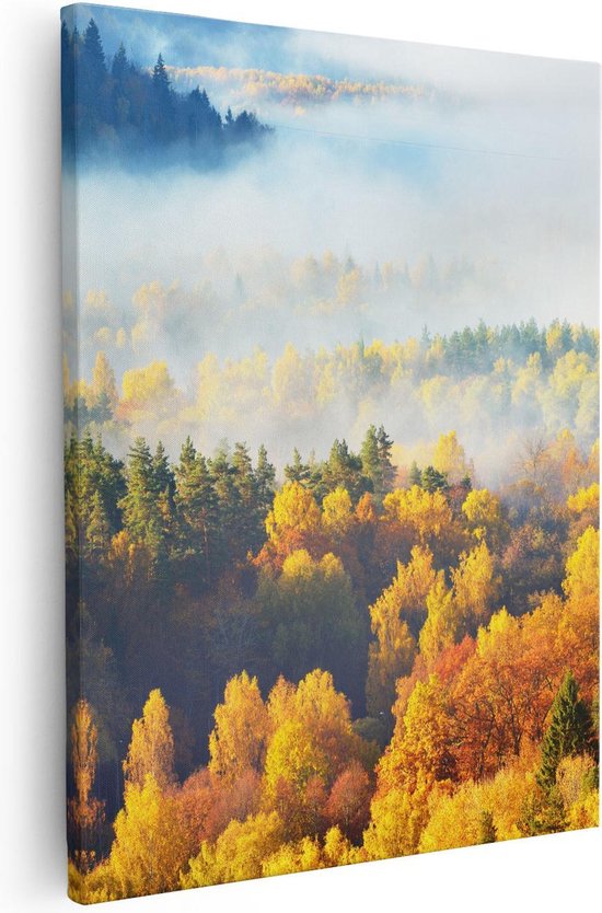 Artaza Canvas Schilderij Gekleurde Herfstbos Met Mist - 40x50 - Foto Op Canvas - Canvas Print