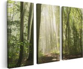 Artaza Canvas Schilderij Drieluik Bos Met Bomen En Zonneschijn - 120x80 - Foto Op Canvas - Canvas Print