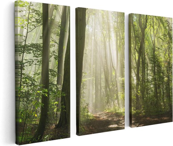 Artaza - Triptyque de peinture sur toile - Forêt avec Arbres et soleil - 120x80 - Photo sur toile - Impression sur toile